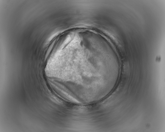 X0000090631355200708141425
