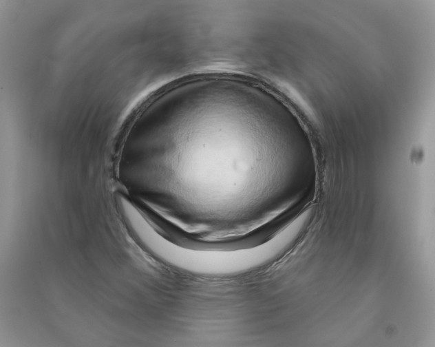 X0000090631356200708141425