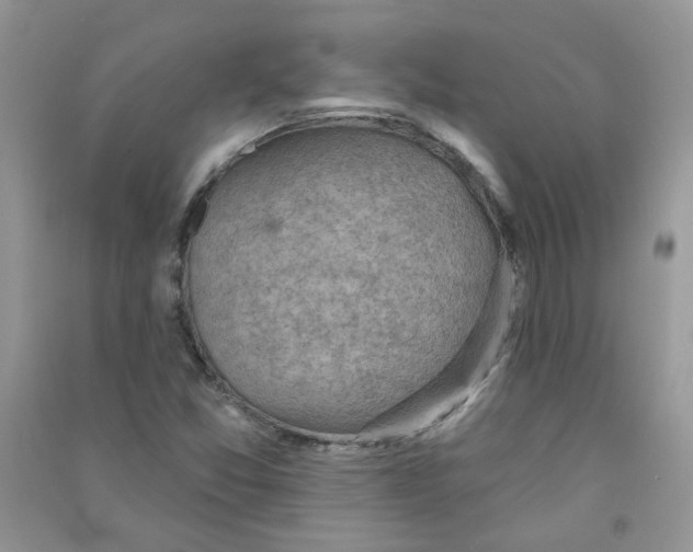 X0000090631357200708141425