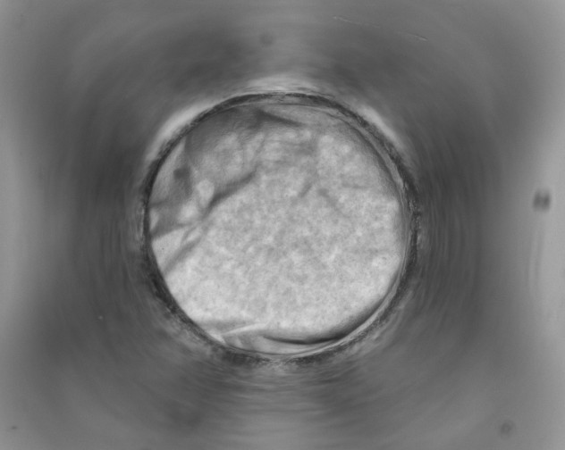 X0000090631358200708141425