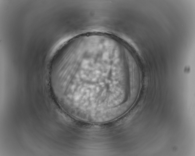 X0000090631359200708141425