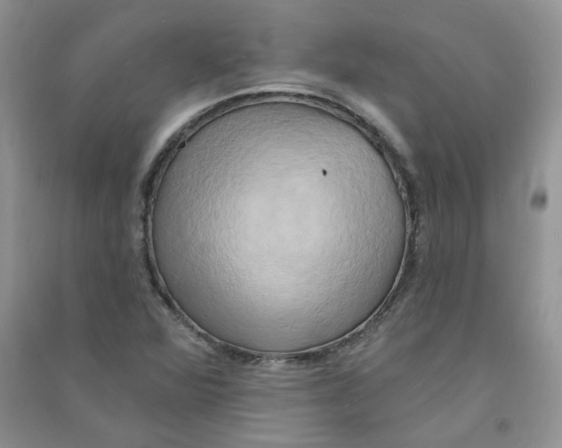 X0000090631360200708141425