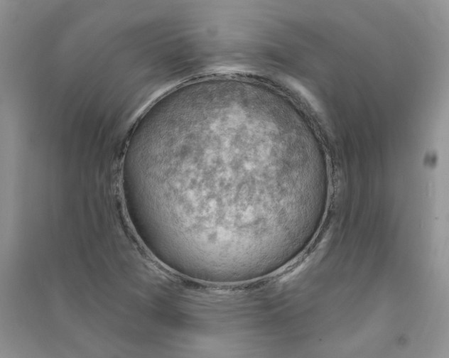 X0000090631361200708141425