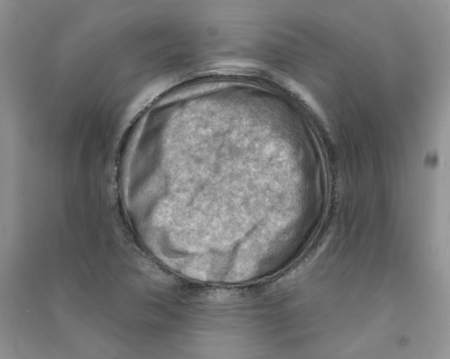 X0000090631362200708141425