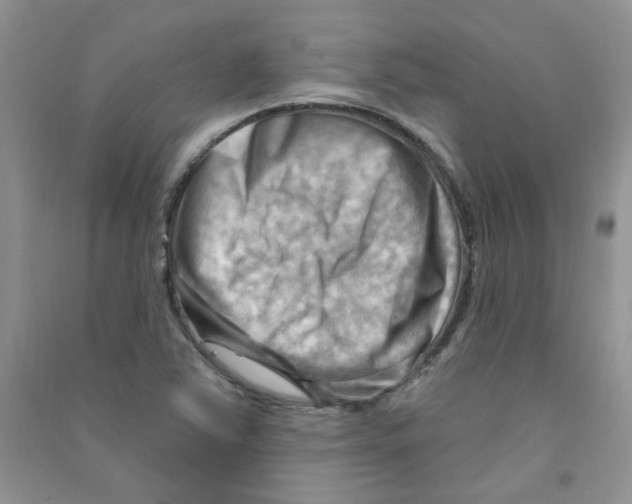 X0000090631363200708141425