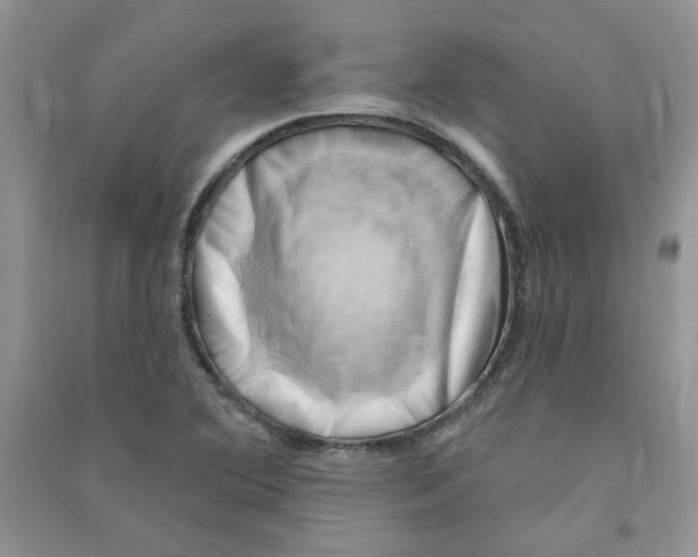 X0000090631364200708141425
