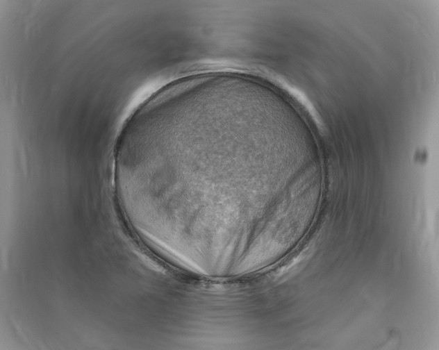 X0000090631365200708141425