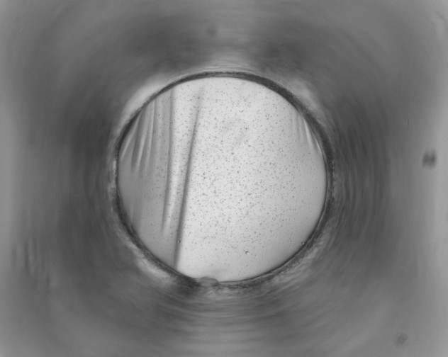 X0000090631366200708141425