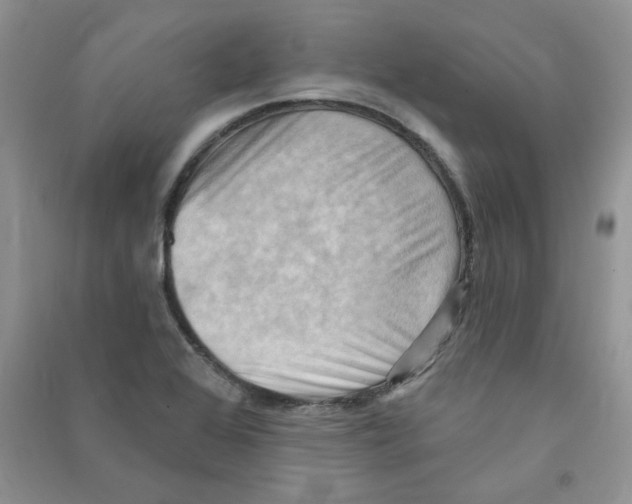 X0000090631368200708141425