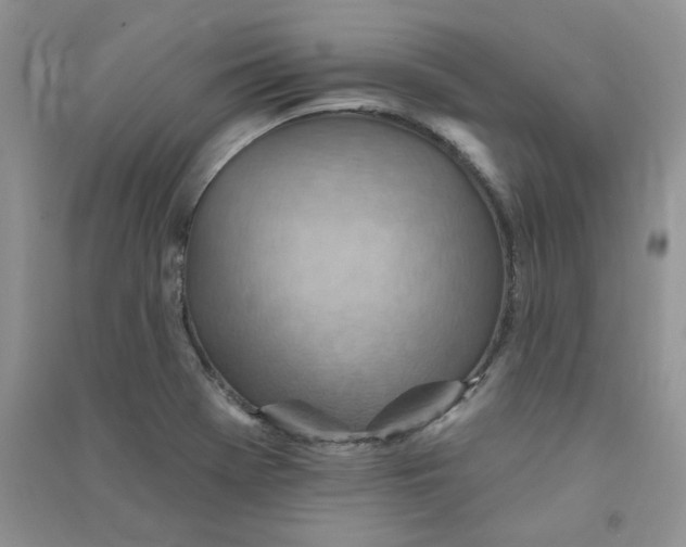 X0000090631369200708141425