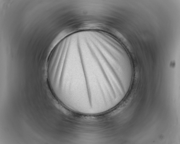 X0000090631370200708141425
