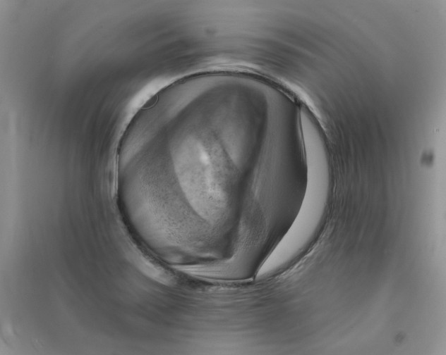 X0000090631371200708141425
