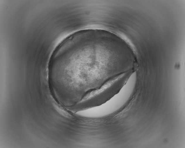 X0000090631372200708141425