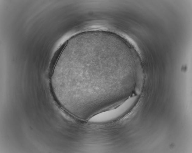 X0000090631373200708141425
