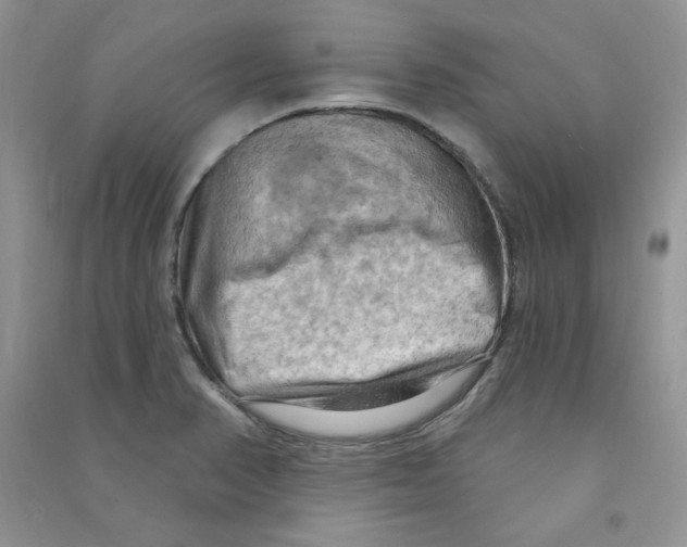 X0000090631374200708141425