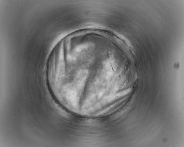 X0000090631375200708141425