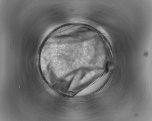 X0000090631376200708141425