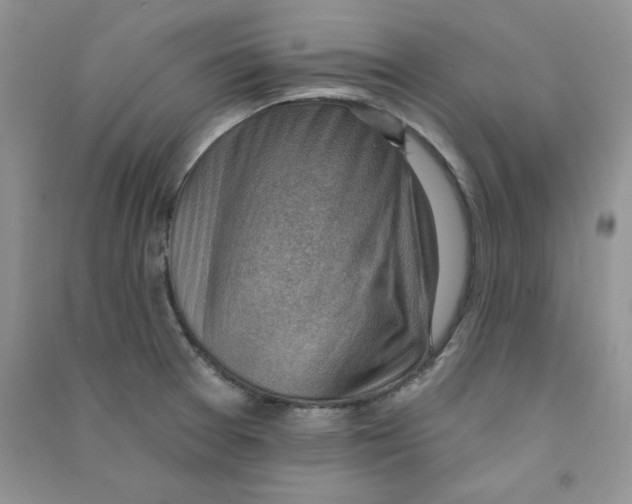 X0000090631377200708141425