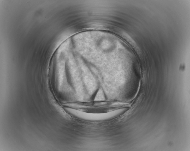 X0000090631378200708141425