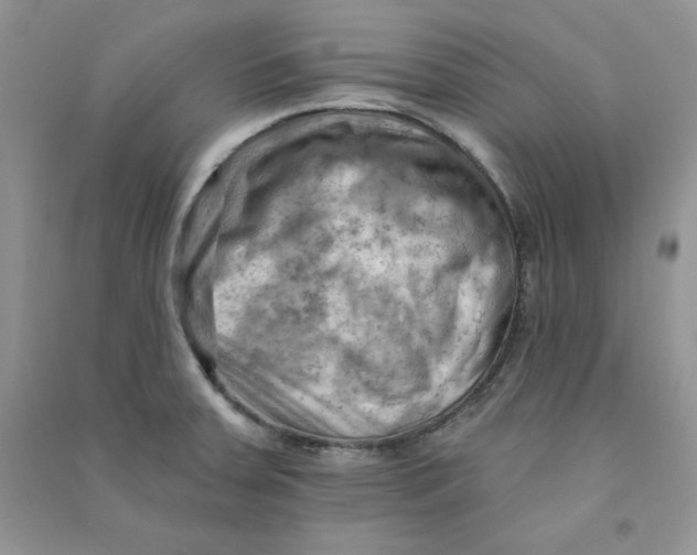 X0000090631379200708141425
