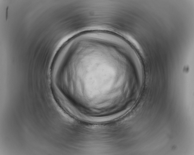 X0000090631380200708141425
