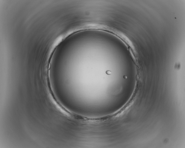 X0000090631381200708141425