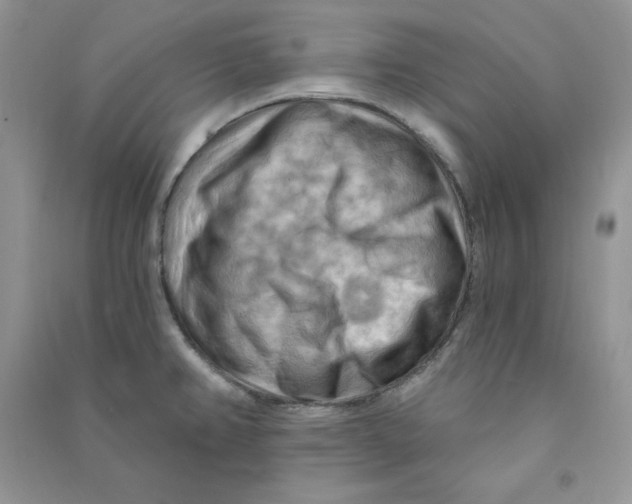 X0000090631382200708141425