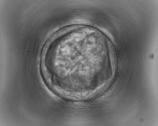 X0000090631383200708141425