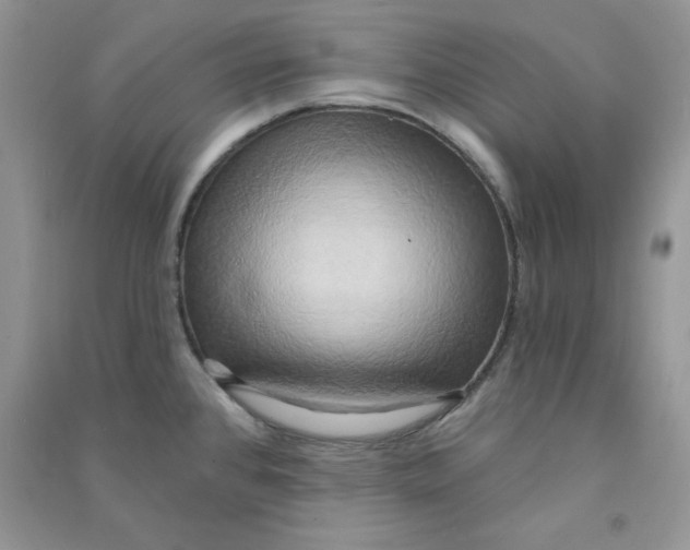 X0000090631384200708141425