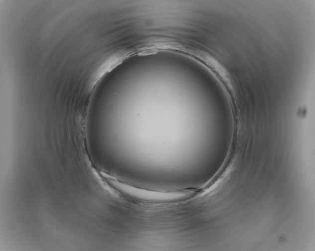 X0000090631385200708141425