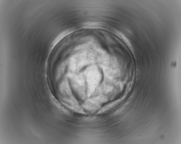 X0000090631386200708141425