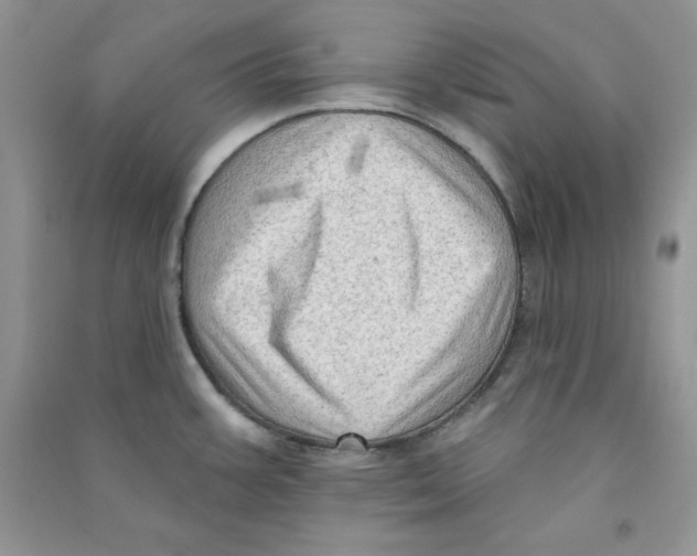 X0000090631387200708141425