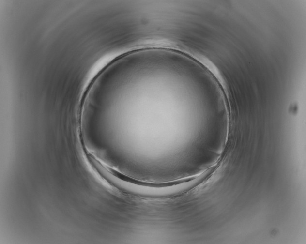 X0000090631389200708141425