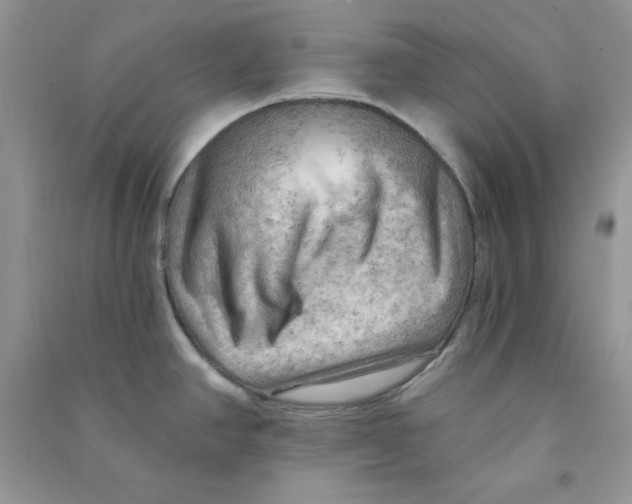 X0000090631390200708141425