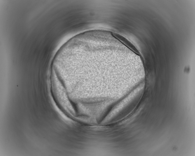 X0000090631391200708141425