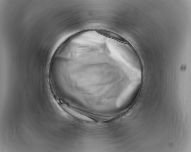 X0000090631392200708141425