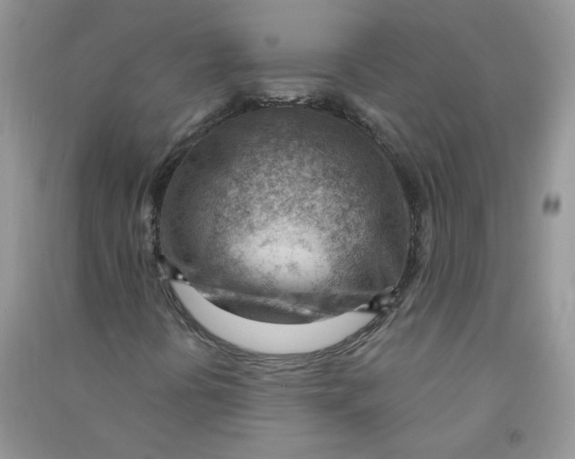 X0000090631394200708141424