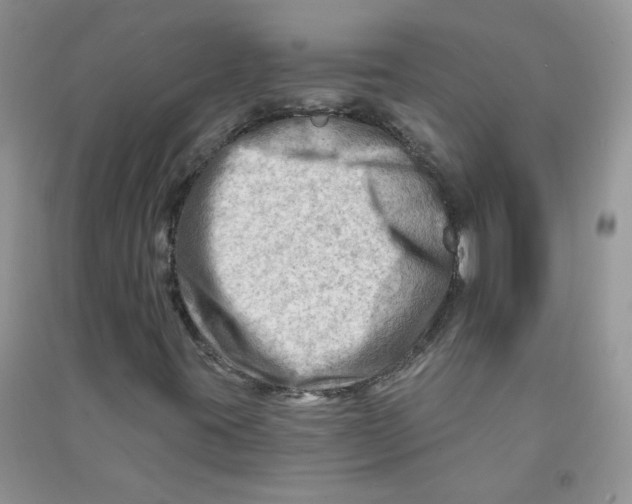 X0000090631395200708141424