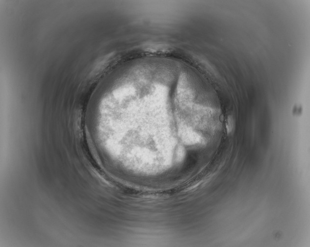 X0000090631396200708141424