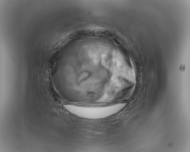 X0000090631397200708141424