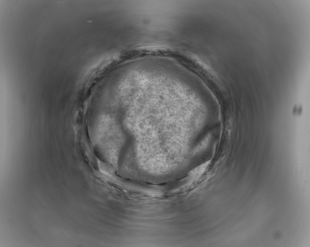 X0000090631398200708141424