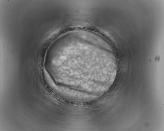 X0000090631399200708141424