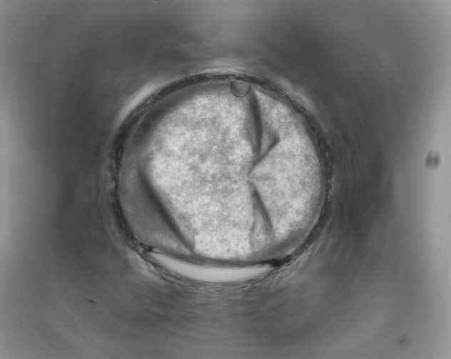 X0000090631400200708141424