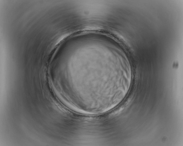 X0000090631401200708141424