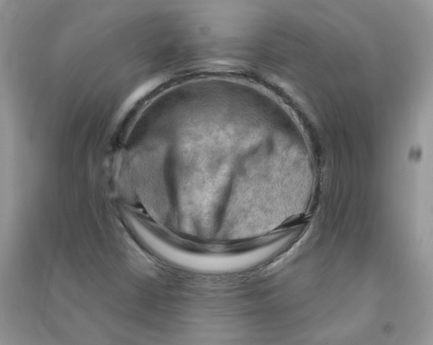 X0000090631402200708141424