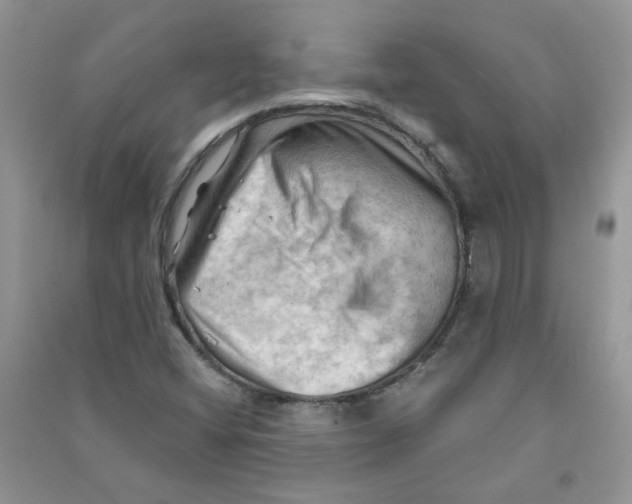 X0000090631404200708141424
