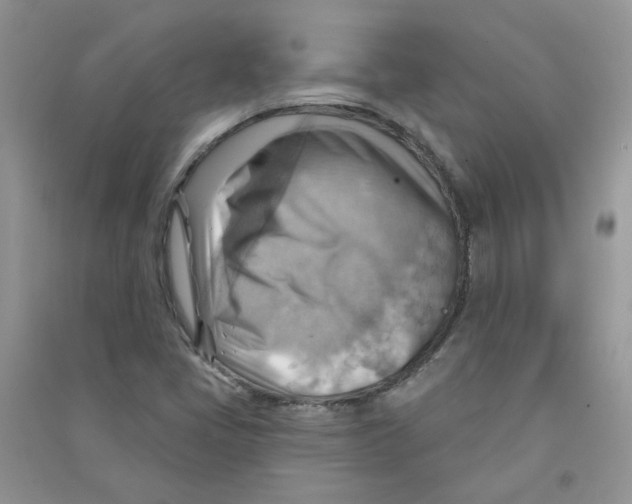X0000090631405200708141424