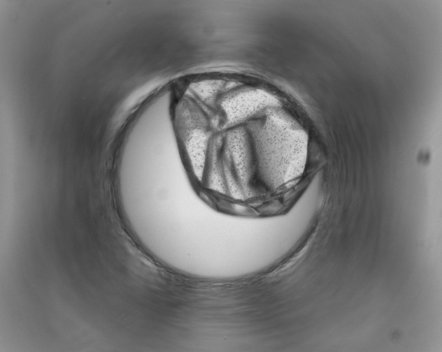 X0000090631406200708141424