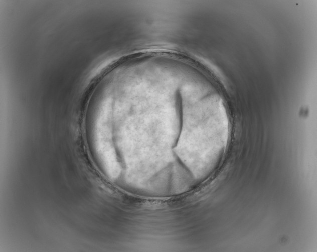 X0000090631407200708141424