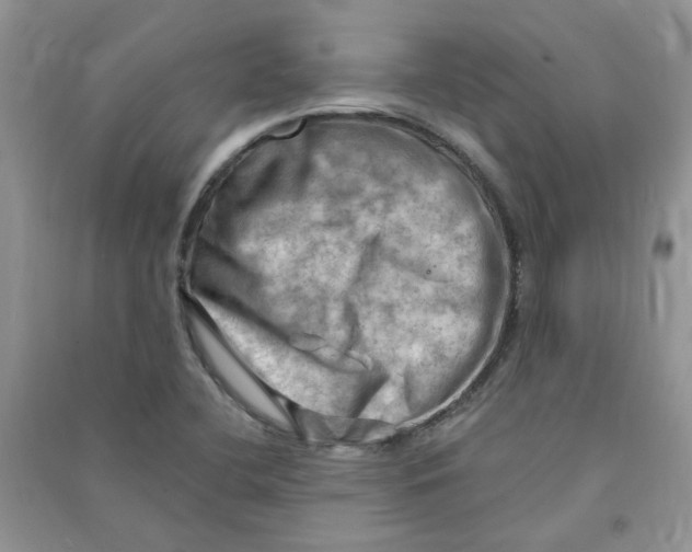 X0000090631412200708141424